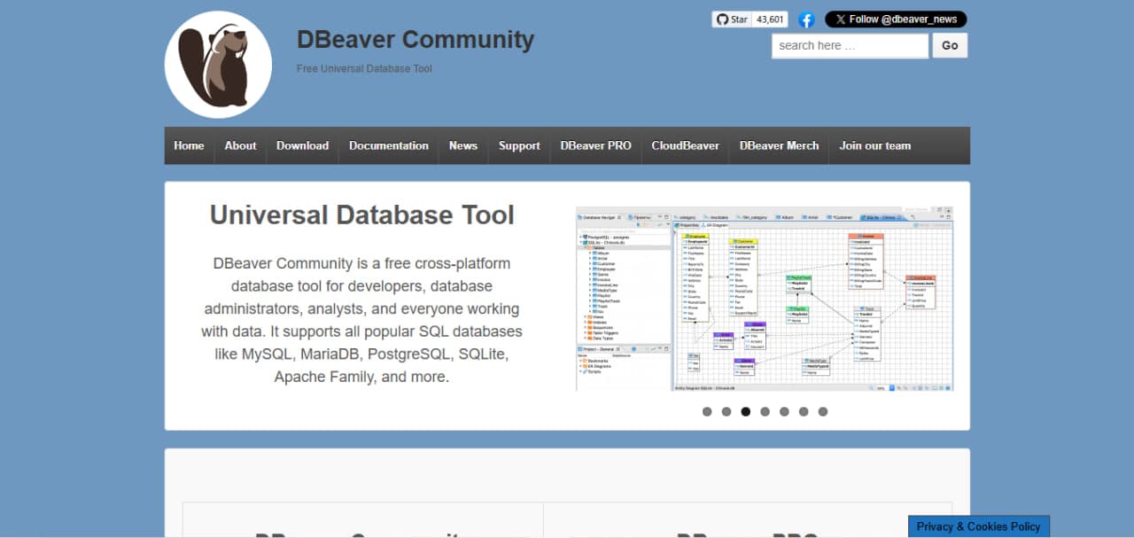 DBeaver image